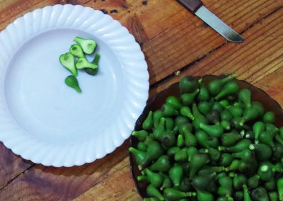 Young Fig Tagine – Takourayte