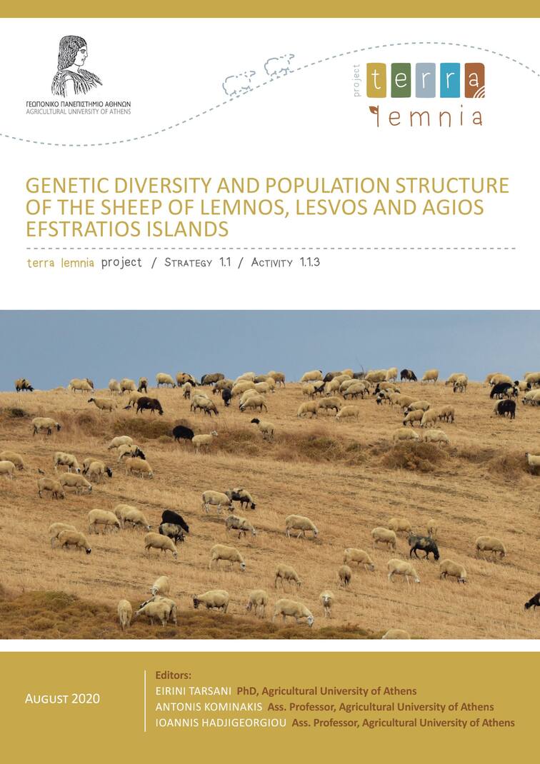 Genetic Diversity and Population Structure of the Sheep of Lemnos, Lesvos and Agios Efstratios Islands