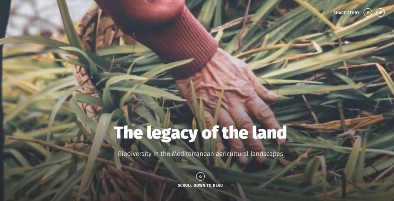 The Legacy of the Land
