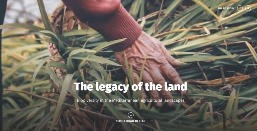 The Legacy of the Land AMNC