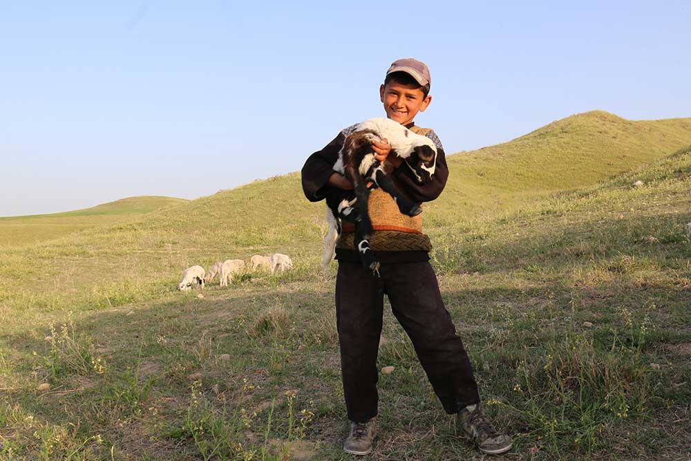 All Smiles, by AMNC partner Yolda Initiative | Mobile Pastoralism in Turkey