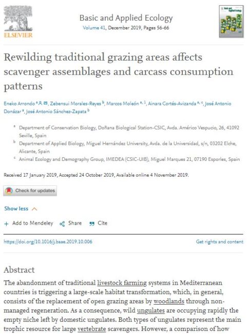 Rewilding traditional grazing areas affects scavenger assemblages and carcass consumption patterns